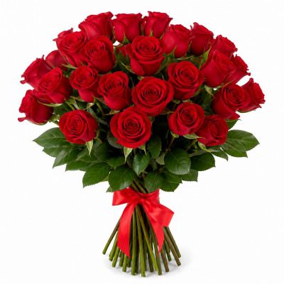 Розы Голландия красные